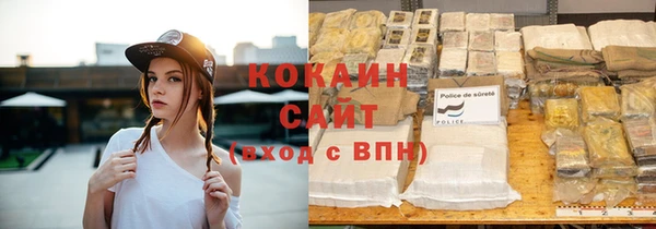 прущие грибы Богородицк