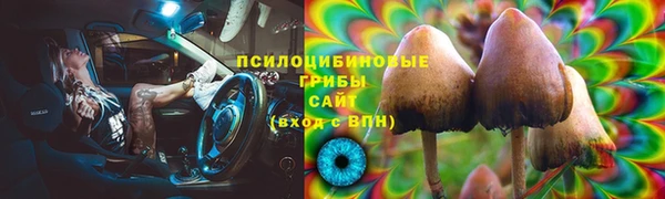 трава Богданович