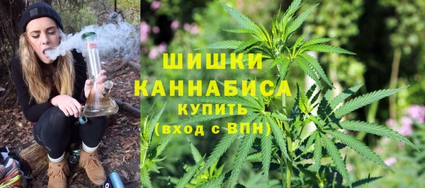 прущие грибы Богородицк
