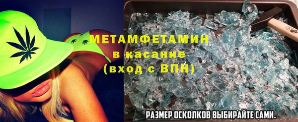 прущие грибы Богородицк
