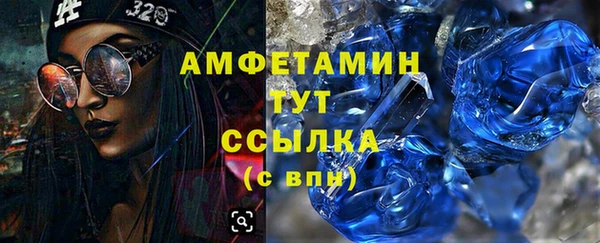прущие грибы Богородицк