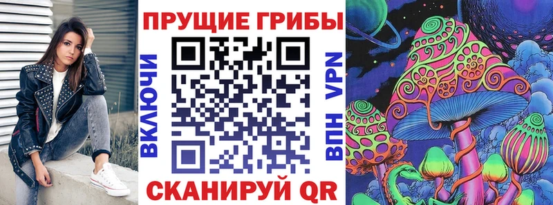 omg маркетплейс как найти Называевск Псилоцибиновые грибы Psilocybine cubensis